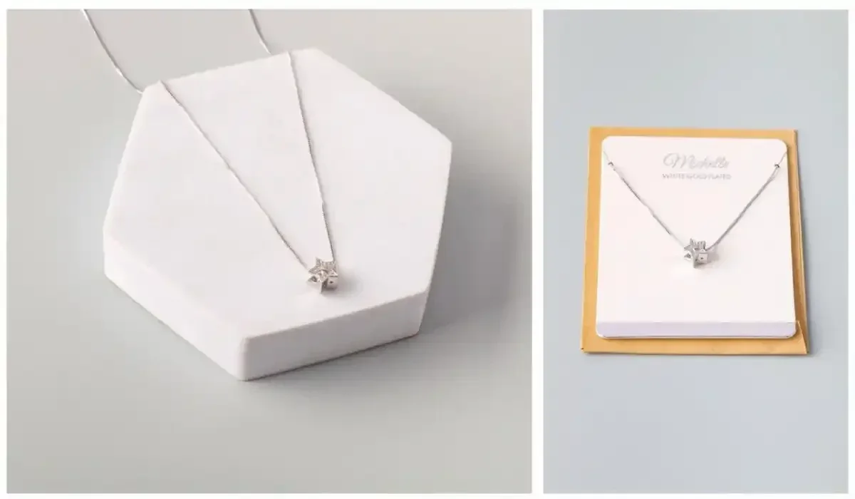 NECKLACE STAINLESS STEEL SILVER 1974S